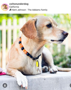 MINI Jack O' Lantern [Small Dog/Cat Bead Collar]