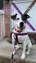 Load image into Gallery viewer, Spellbound Bead Collar
