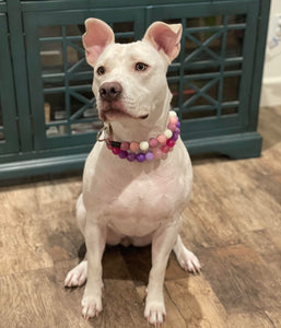 Raspberry Sugar Bead Collar