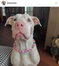 Load image into Gallery viewer, Bubblegum Pink Glitter Prism Bead Collar