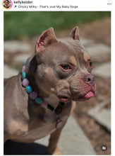 Load image into Gallery viewer, Bubblegum Waves Coin Bead Collar