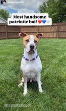 Load image into Gallery viewer, Americana Glam Bead Collar
