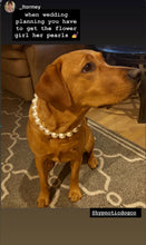 Load image into Gallery viewer, Chunky White Pearls Acrylic Bead Collar