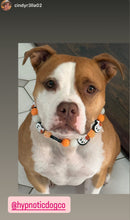 Load image into Gallery viewer, Orange Boo 👻 Halloween Glow Bead Collar
