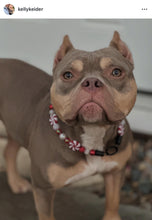 Load image into Gallery viewer, Peppermint Swirl Bead Collar