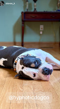Load image into Gallery viewer, Conqueror Bead Collar