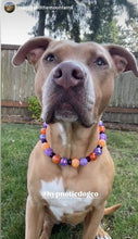Load image into Gallery viewer, Spellbound Bead Collar