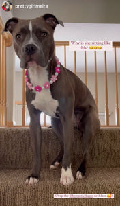 🌼 Pink Ombre Daisies 🌼 Silicone Bead Collar