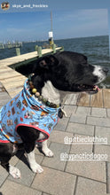 Load image into Gallery viewer, Mossy Meadow Bead Collar