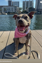 Load image into Gallery viewer, Add-on Only: LARGE &amp; XL JUMBO Personalized Alphabet Letter Beads (Custom Names)