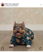 Load image into Gallery viewer, Gingerbread Mocha Glam Bead Collar