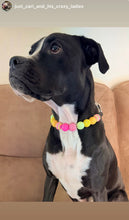 Load image into Gallery viewer, Citrus Sunrise Bead Collar