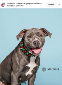 Christmas Frost Bead Collar