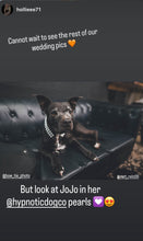 Load image into Gallery viewer, Duplo Mini White Pearl Acrylic Bead Collar