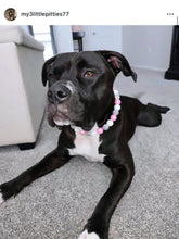 Load image into Gallery viewer, Pink Glitz Bead Collar