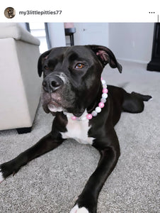 Pink Glitz Bead Collar