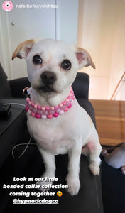 Rose Pink Swirl Acrylic MINI [Small Dog/Cat Bead Collar]