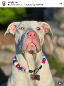 Americana Glam Bead Collar