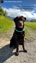 Load image into Gallery viewer, Sea Glass Acrylic Bead Collar