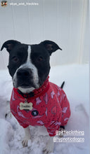Load image into Gallery viewer, Lunar Red Triplo Acrylic Bead Collar