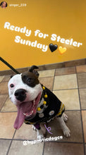 Load image into Gallery viewer, Pittsburgh Steelers  NFL Inspired 🏈  Bead Collar