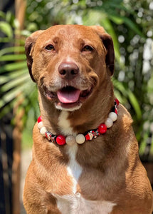 Elm Street Halloween Bead Collar