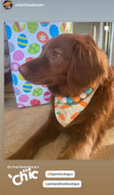 Load image into Gallery viewer, Tropicana Acrylic Bead Collar