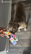 Load image into Gallery viewer, PERSONALIZED Candy Sweetheart Bead Collar