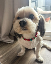 Load image into Gallery viewer, Mistletoe Glam MINI Glam Collar [Small Dog/Cat Bead Collar]