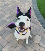 Load image into Gallery viewer, Witching Hour Halloween Bead Collar