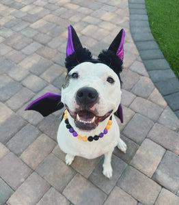 Witching Hour Halloween Bead Collar