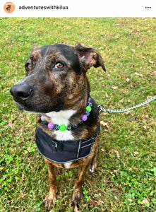 Midnight Cauldron Halloween Glow Bead Collar