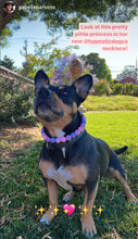 Load image into Gallery viewer, Pretty Princess Acrylic Bead Collar