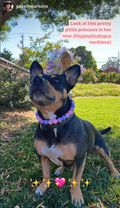 Pretty Princess Acrylic Bead Collar