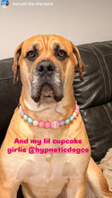 Load image into Gallery viewer, Cupcake Glitz Bead Collar