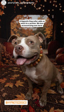 Load image into Gallery viewer, Autumn Leaves 🍂 Bead Collar