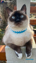 Load image into Gallery viewer, Cayman Blue Swirl XS Acrylic [Small Dog/Cat Bead Collar]