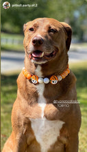 Load image into Gallery viewer, Jack O&#39; Lantern Bead Collar