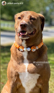 Jack O' Lantern Bead Collar