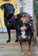 Load image into Gallery viewer, Santa Baby Bead Collar