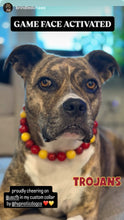 Load image into Gallery viewer, 🏈 College Football Team Colors Bead Collar