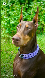 Purple Rain Triplo Acrylic Bead Collar