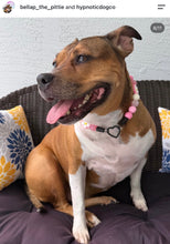 Load image into Gallery viewer, Pink Luau 🌺 Bead Collar