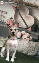 Load image into Gallery viewer, Unicorn Glam MINI [Small Dog/Cat Bead Collar]