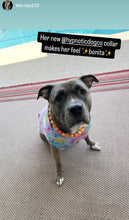 Load image into Gallery viewer, Tahitian Sunset Bead Collar