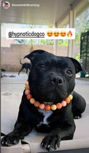 Load image into Gallery viewer, Tahitian Sunset Bead Collar