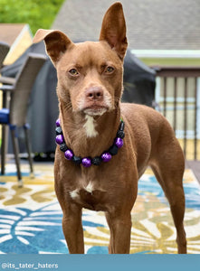 Chunky Mystic Purple Acrylic Bead Collar