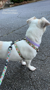 Purple Jelly Mini Bead Collar [Small Dog/Cat Bead Collar]