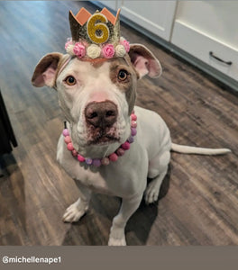 Pink Sugar Bead Collar