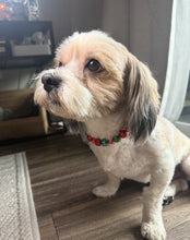 Load image into Gallery viewer, Mistletoe Glam MINI Glam Collar [Small Dog/Cat Bead Collar]